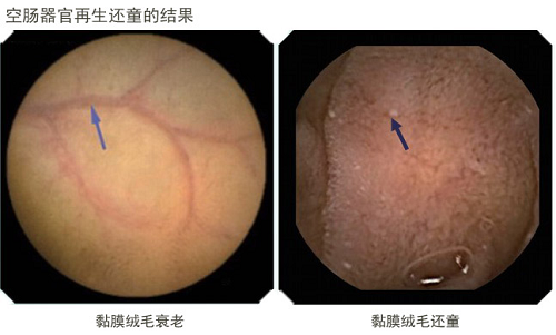 尊龙凯时人生就是博·Z6(中国)官方网站