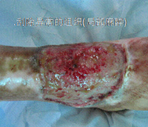 尊龙凯时人生就是博·Z6(中国)官方网站