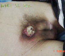 尊龙凯时人生就是博·Z6(中国)官方网站