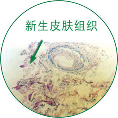 尊龙凯时人生就是博·Z6(中国)官方网站