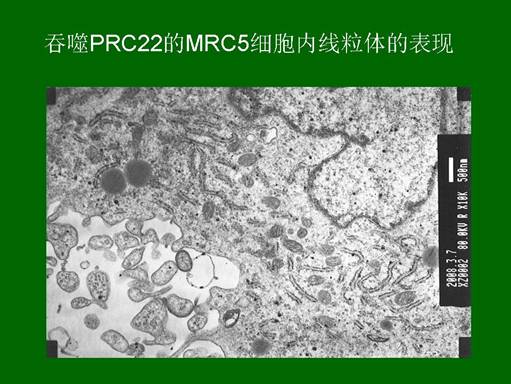 尊龙凯时人生就是博·Z6(中国)官方网站