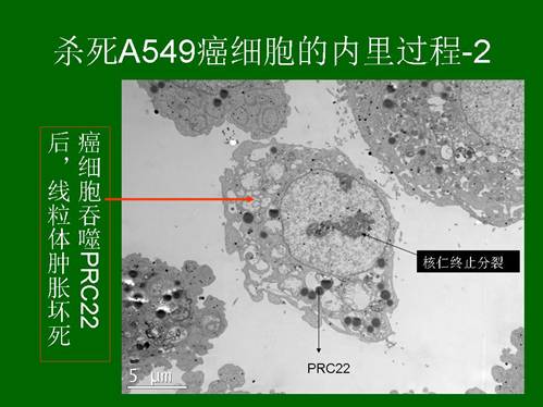 尊龙凯时人生就是博·Z6(中国)官方网站