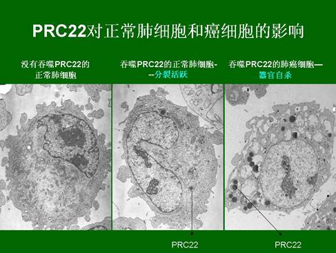 尊龙凯时人生就是博·Z6(中国)官方网站