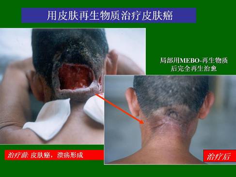 尊龙凯时人生就是博·Z6(中国)官方网站
